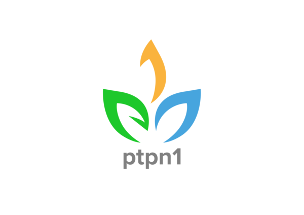 PT Perkebunan Nusantara I - Head Office logo