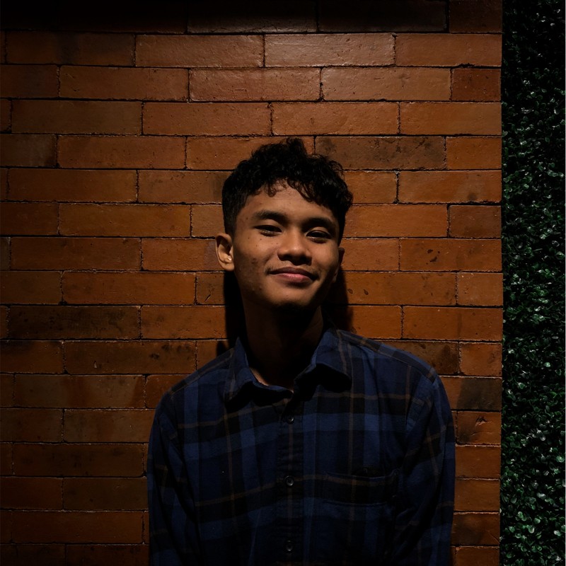 Faza Firjatullah Alvi