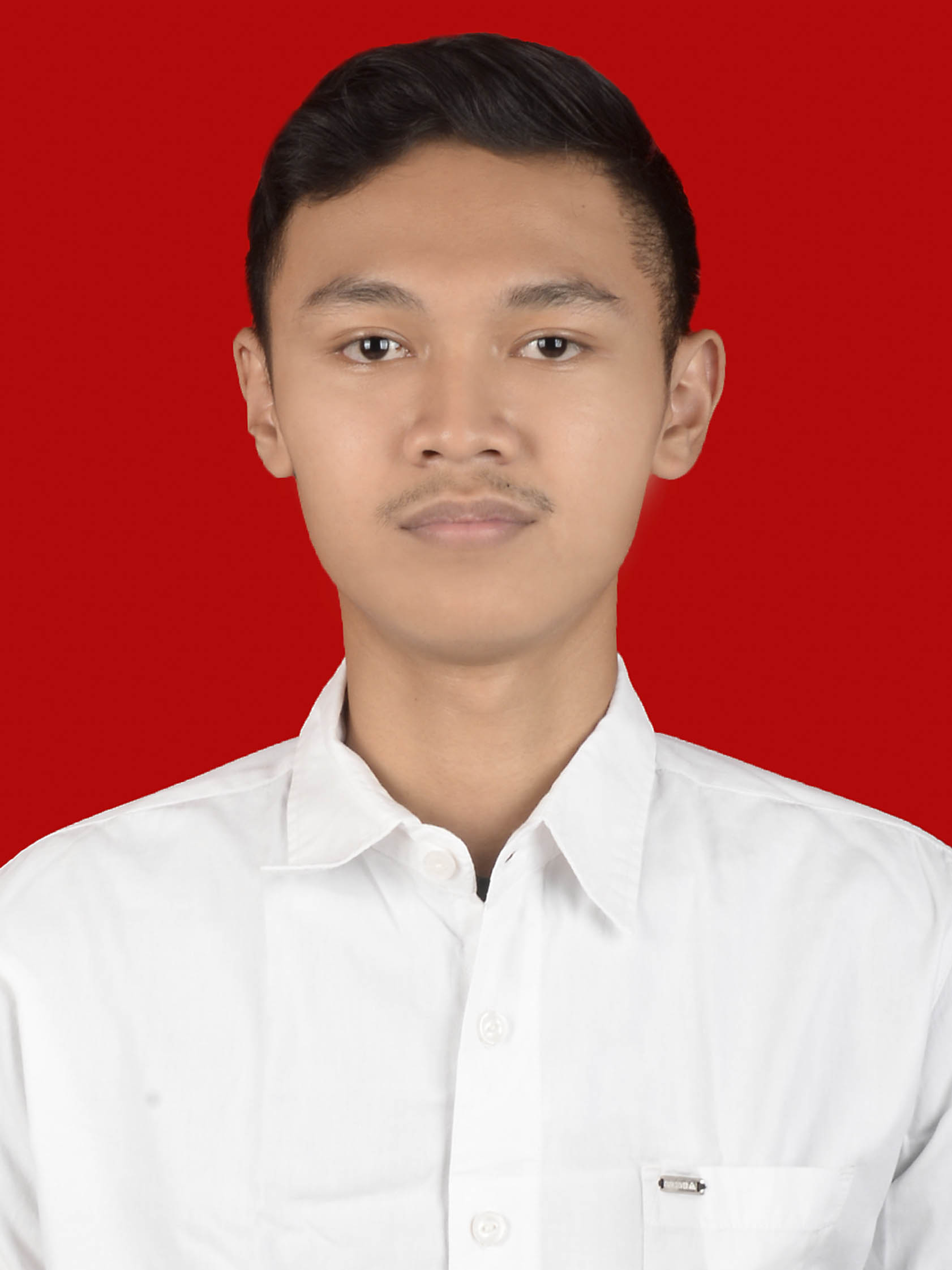 IGNATIUS VERDIAN SINUNG SATYATAMA