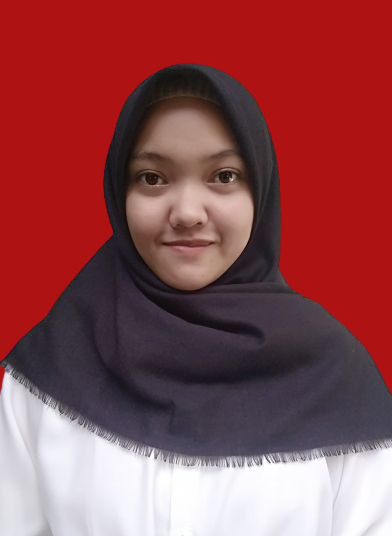 Dhea Feby Setiya Budi