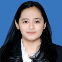 Andi Syulfadillah Syam