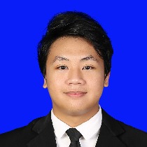 Ramzy Izdihar Widiyanta