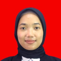 Windi salsa patricia