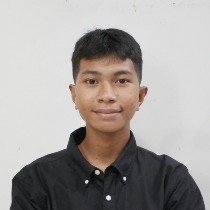 Samsul Mohammad La Ane