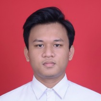Novan widiartha