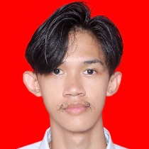 Muhammad Fahri Ilman
