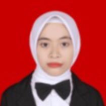 RINA MAYA SARI BR PINEM