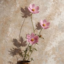 Rizka Salsabila Fatiha