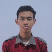 Muhammad Naufal Hanan