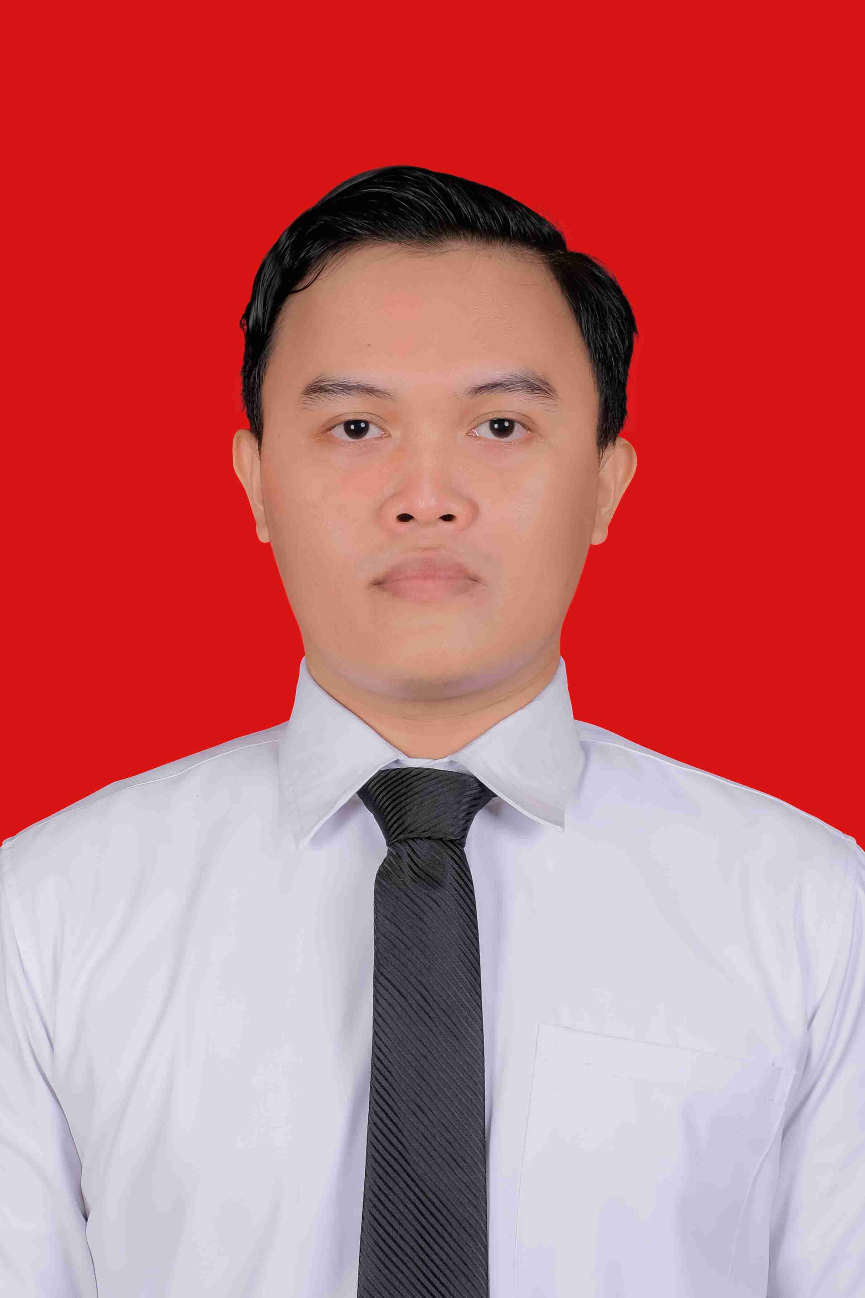 Mohamad Romzi Luthfi