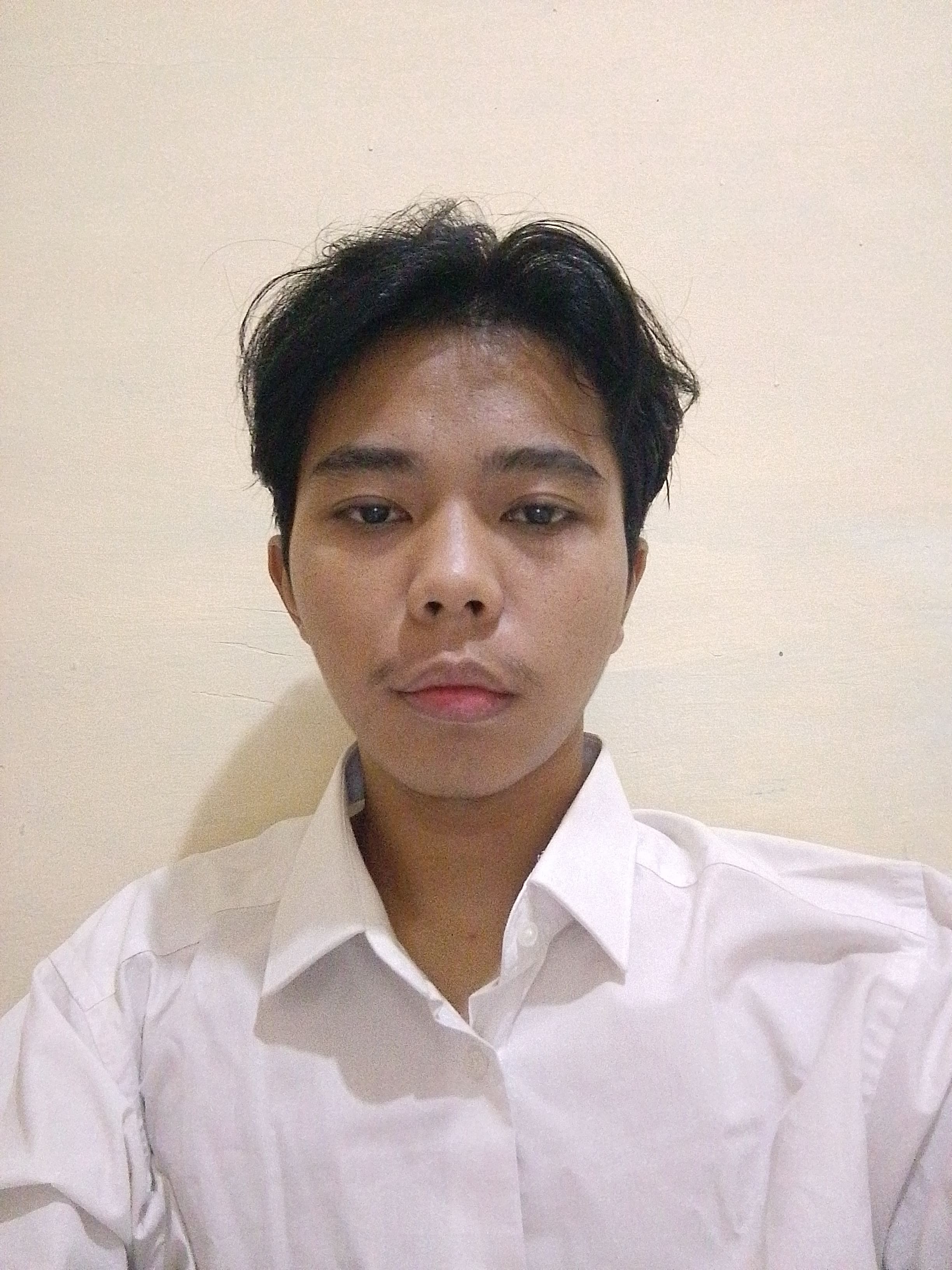 Sayyid Muhammad Husain Haikal