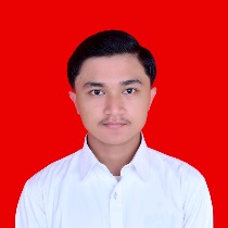 M. Dwiki irdany juliansyah imran
