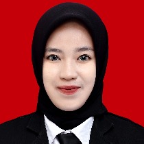 Baiq Dina Aulyatul Aini