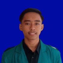 Aulia Majid Lubis