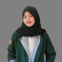 Desi Salsabila Putri