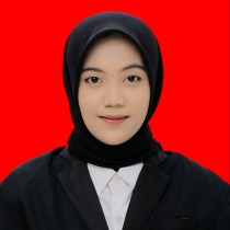 NUR AINI