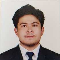 Gerald Nicholaus Pardamean Tampubolon