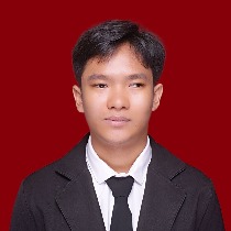 Syukri Hadi N.S