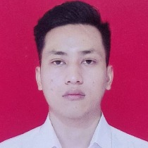 Gede Narendra Arie Natha